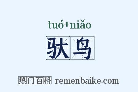 驮鸟是什么意思的图片